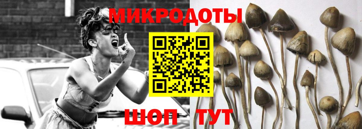 Галлюциногенные грибы GOLDEN TEACHER  Псилоцибиновые грибы мицелий  где продают   Вход с VPN  Нефтекамск 